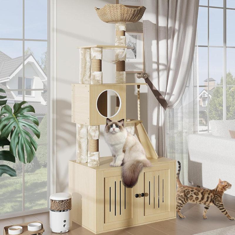 Arbre à chat Jaelin Claresa, Beige