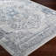 Grey Traditional Rug, Bordered Floral Stain Resistant Easy to Clean Rug For Living Room, Dining Room, Bedroom-1241708287