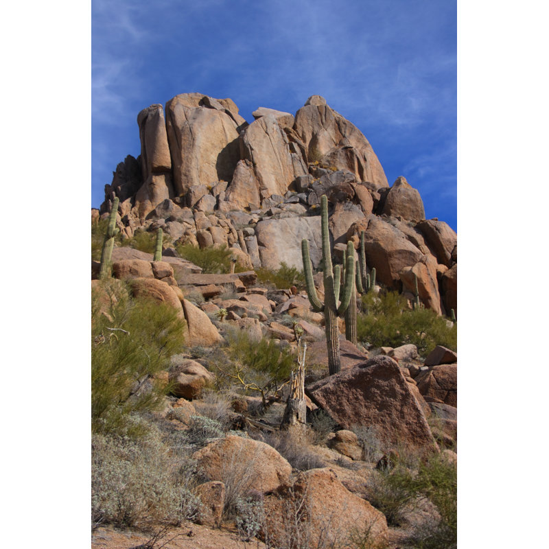 Vertical Desert Scenic by StrikingPhotography - Wrapped Canvas Print, 91cm H x 61cm W