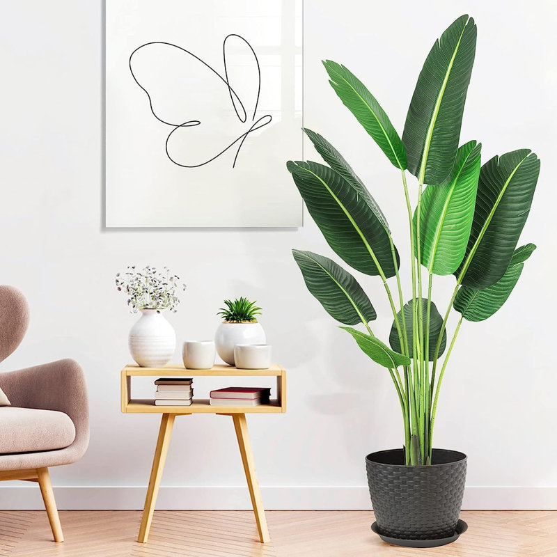 Plant, 182.27 cm x 96.01 cm