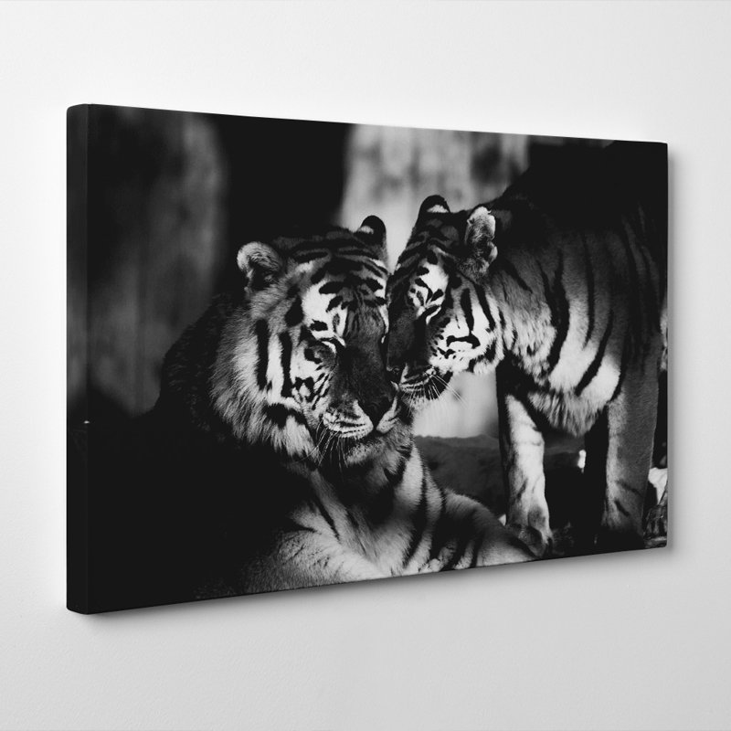 Wrapped Canvas Print, 35cm H x 50cm W