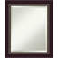 Miroir traditionnel biseauté-22342728