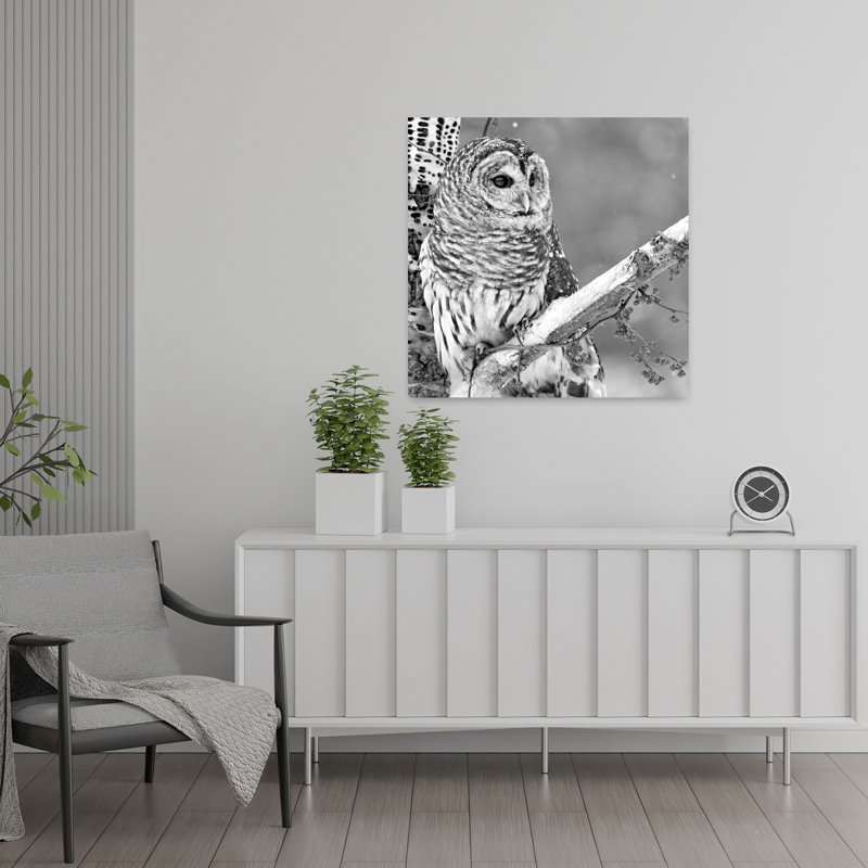 Chouette blanche, H 24 po x l 24 po