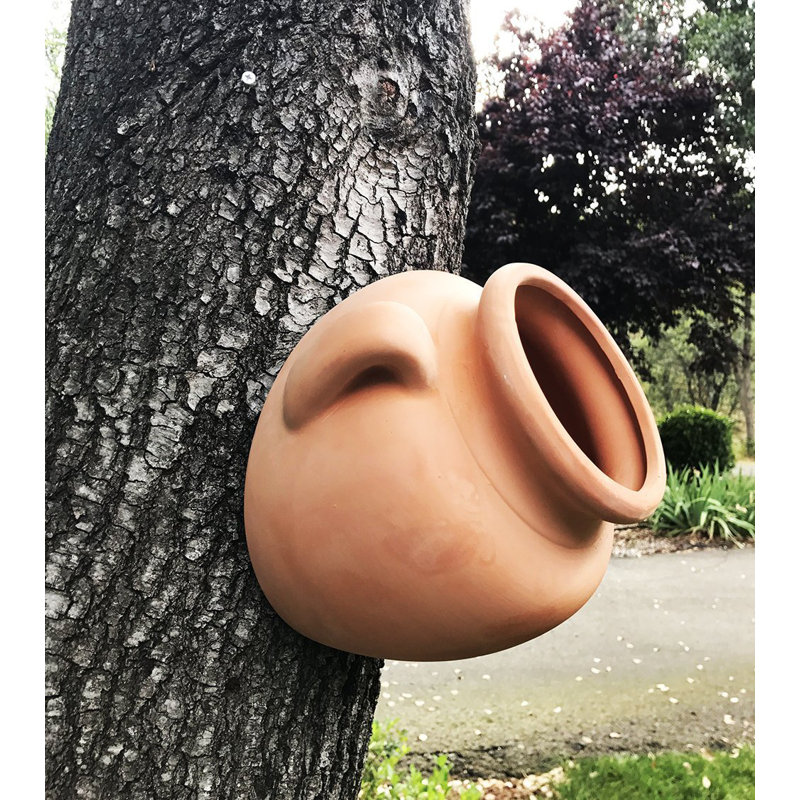 Pot de fleurs en terre cuite Culley, Terre cuite naturelle, H 9 po x l 11,5 po x P 12 po