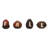  Resin 4.75 in. Multicolor Fall Letters Acorns Set of 4