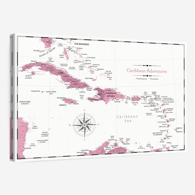 Pin's des Caraïbes Aventures rose Alvertia, H 16 po x l 24 po