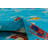9' X 12' TURQUOISE Quality Wool New Handmade Modern Transitional Rug #I-1305