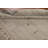 Little Animals Gabbeh Oriental Area Rug