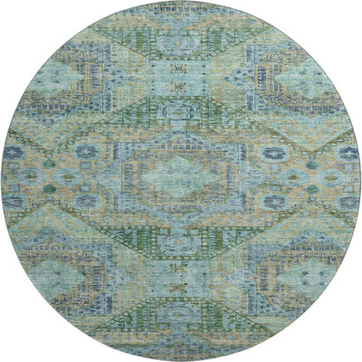 Premium Machine Washable Alaina AMF1929 Global Rug