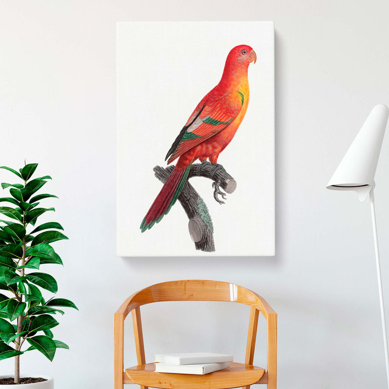 Crimson Shining Parrot by F. Levaillant - Wrapped Canvas, 76cm H x 50cm W x 3cm D