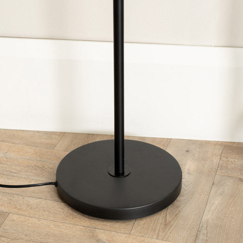 Amoakuh 162cm Matte Traditional Floor Lamp, Black Metal, No