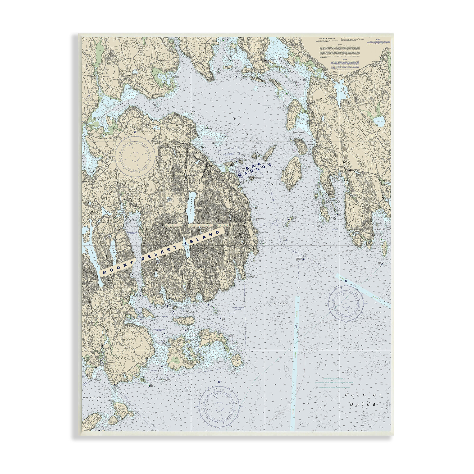 Stupell Industries Mount Desert Island Maine Coastal Map