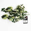 Hanging Plants 40 cm H Faux Foliage Plant