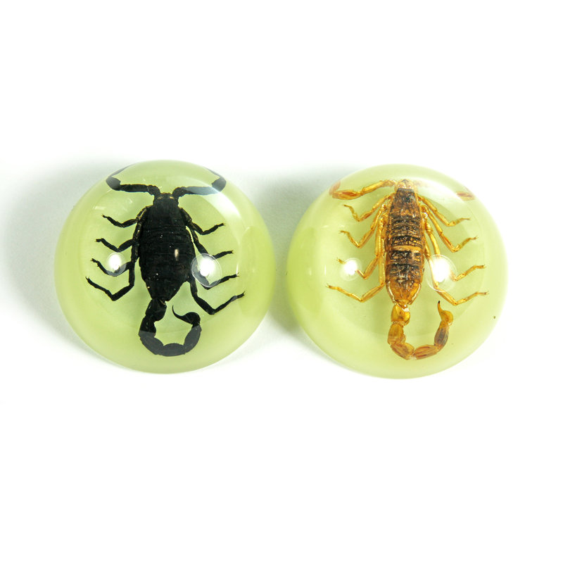 Ensemble de 2 aimants Scorpions de style Scorpions