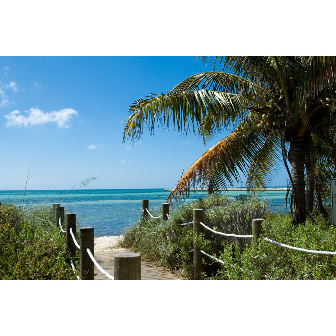 Beach Pathway von Marcellus2070 - Kunstdrucke auf Leinwand ohne Rahmen