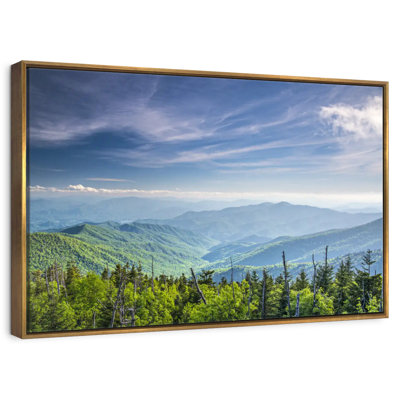 Clingmans Dome, paysage de montagne
