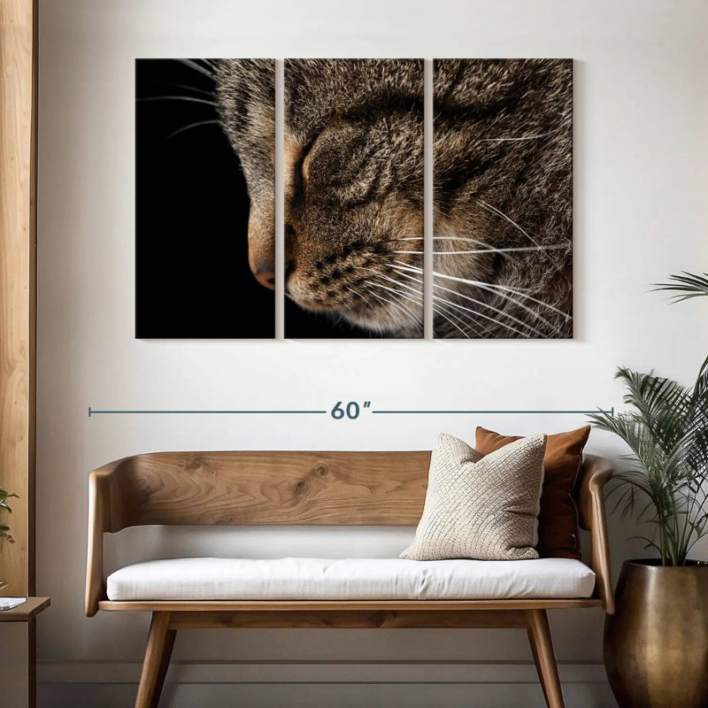 Chat tigré endormi, H 32 po x l 50 po