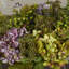 Arrangement floral mélangé à vase