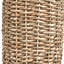 Acer Wicker/Rattan Table Lamp-112247740