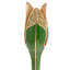Ambrosius Candlestick