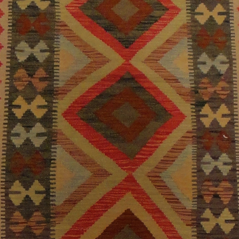 Azpeitia Wool Southwestern Indoor Rug