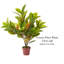 Croton artificiel en pot