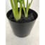 21'' Faux Reed Plant in Pot Liner