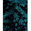 Izena One-of-a-Kind 9' 1" X 11' 10" Hand Knotted Area Rug