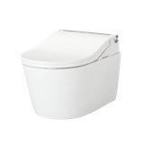 Dual-Flush Elongated Wall Mounted with Tornado Flush (Seat Included)