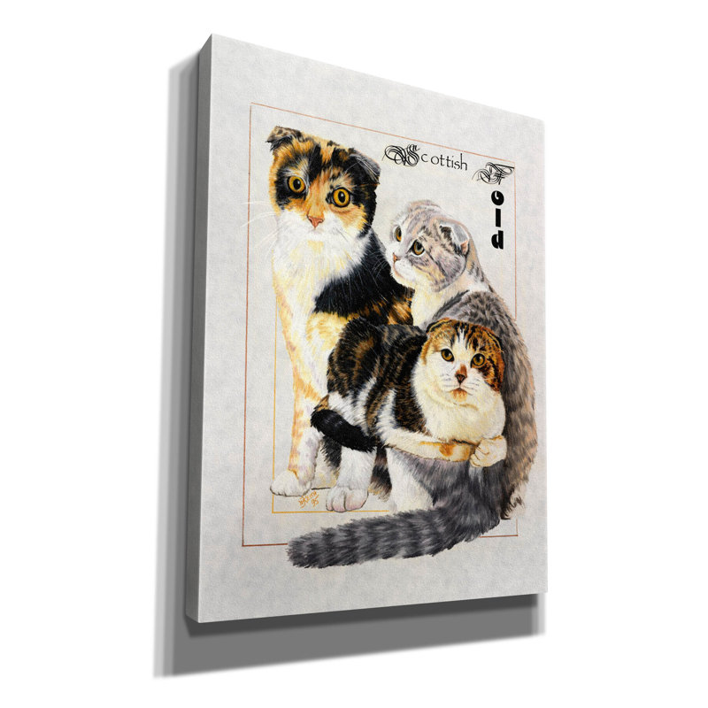 «Scottish Fold» par Barbara Keith sur, H 54 po x l 40 po x P 1,5 po
