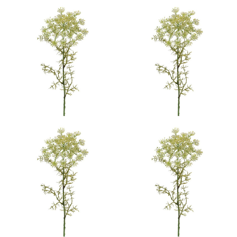 Tige florale de la reine Anne (ensemble de 4)