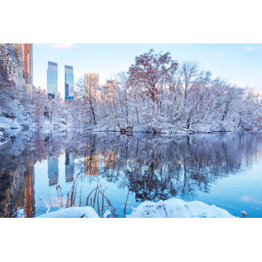 Yeti, Set, Snow! in Central Park