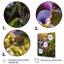 «Mauve, jaune, nature, pensées, V», sur toile-2034557511-2034557535