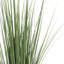 Faux Foliage Grass in Planter-656768656