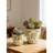 S/2 Matching Ceramic Planters With Yellow Lemon Motif