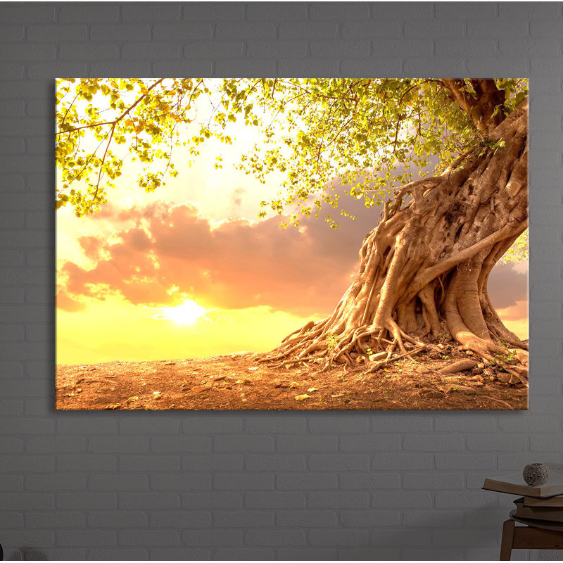 Rooted Strong Tree At Sunset by No - Wrapped Canvas Print, Without lighting, 60cm H x 80cm W x 4.5cm D