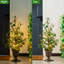 36"H Lightd St. Patrick's Shamrock Urn Porch Tree，W/Timer