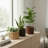 Round Strata Planter-1420035756-1420035759
