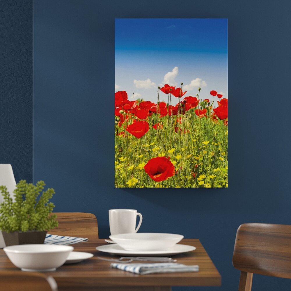 Leinwandbild Mohnblumen, Fotodruck