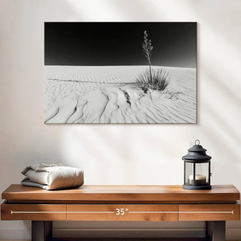Alvord White Sands Impression Monochrome, 16" H x 24" W