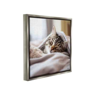 " Cozy Sleeping Kitten Floater Frame " by RB