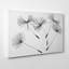 Dandelion Seeds - Wrapped Canvas-19097066