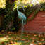 Statue de jardin Paisyn Crane