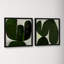 Succulent Set Of 2 by StudioM-66479132-66479133