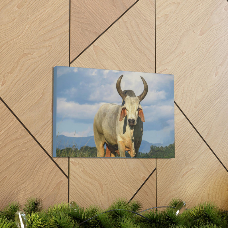No Frame Print on Canvas, 27.94cm H x 35.56cm W