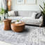Tapis oriental gris Ascutney-1381986951