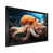Black Picture Framed