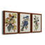 Pl 107 Canada Jay - ensemble de 3 peintures sur toile encadrées-768052230-768052231
