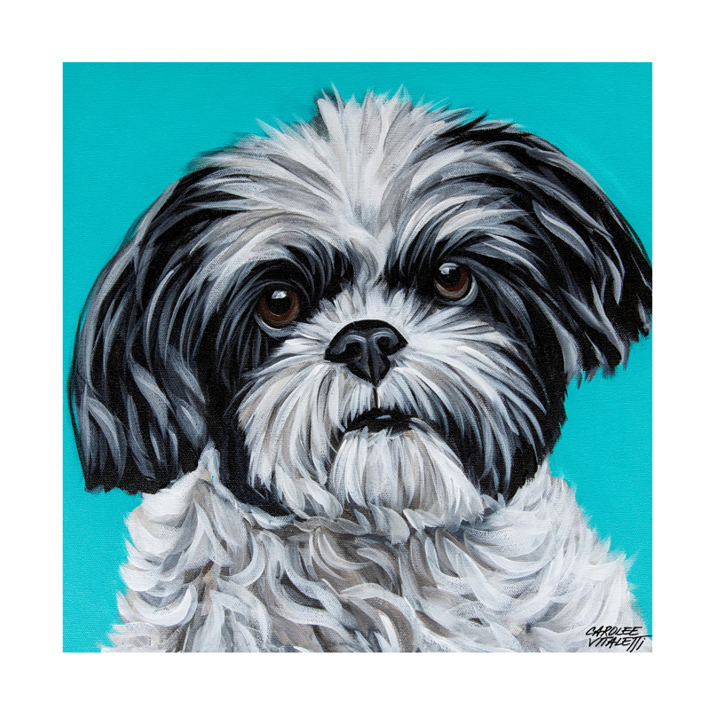 Carolee, art de Shih Tzu noir et blanc sur toile, H 18 po x l 18 po x P 2 po