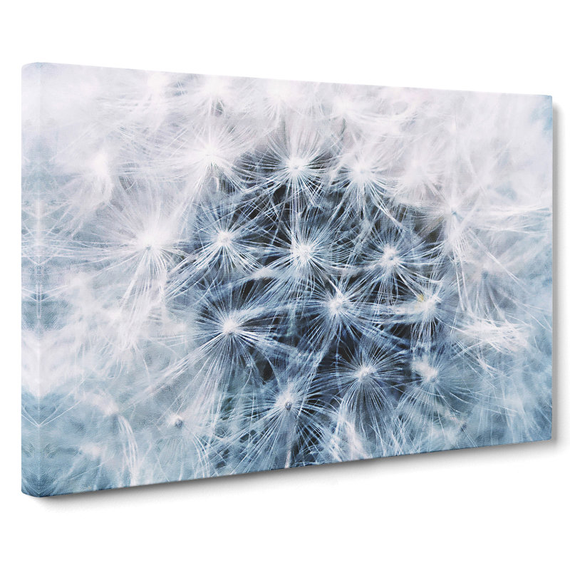 Dandelion Seeds Vol.12 - Wrapped Canvas Print, 35cm H x 50cm W x 3cm D